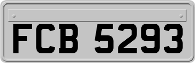FCB5293