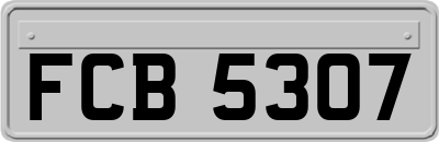 FCB5307