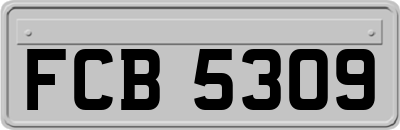 FCB5309
