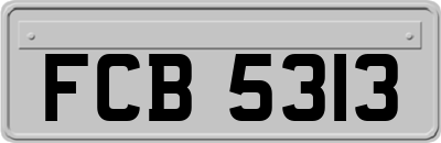 FCB5313