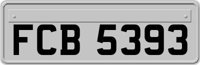 FCB5393