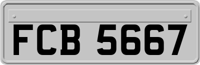 FCB5667