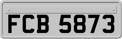 FCB5873