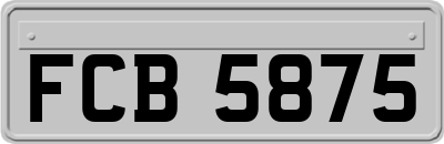 FCB5875