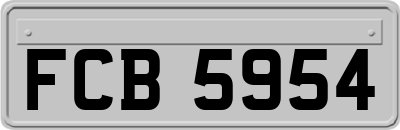 FCB5954