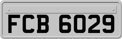 FCB6029