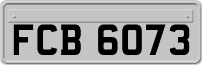 FCB6073