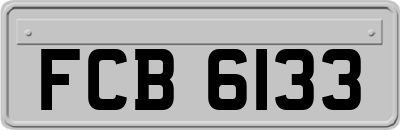 FCB6133