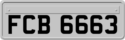 FCB6663