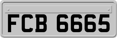 FCB6665