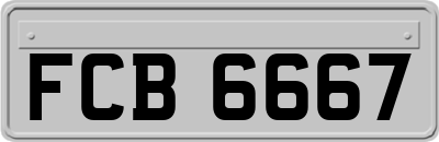 FCB6667