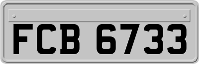 FCB6733