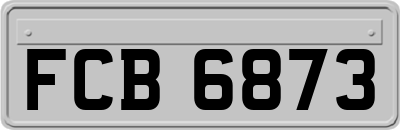 FCB6873