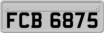 FCB6875