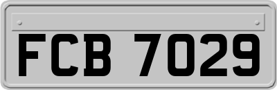 FCB7029