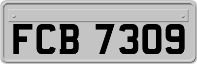 FCB7309