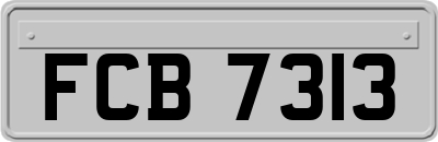 FCB7313