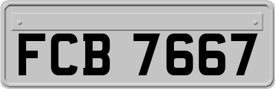 FCB7667