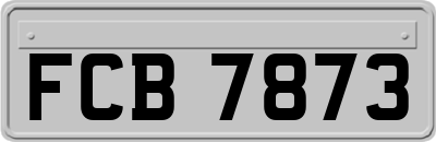 FCB7873