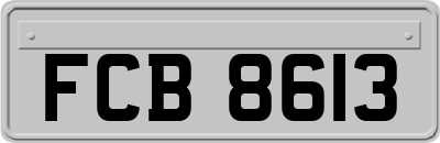 FCB8613