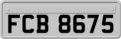 FCB8675