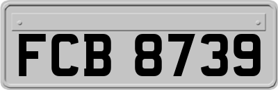 FCB8739