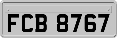 FCB8767
