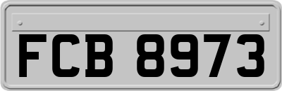 FCB8973