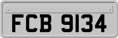 FCB9134