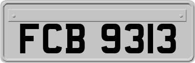 FCB9313