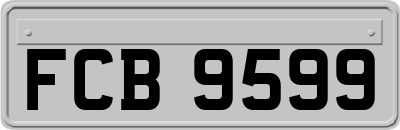FCB9599