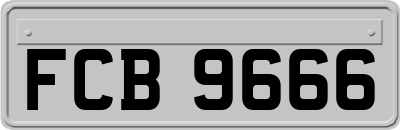 FCB9666