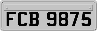 FCB9875