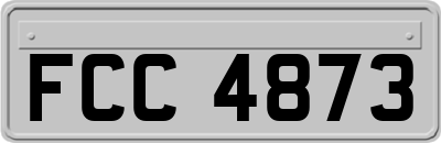 FCC4873