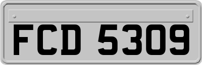 FCD5309