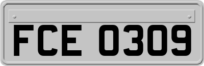 FCE0309