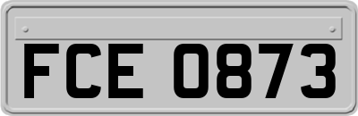 FCE0873