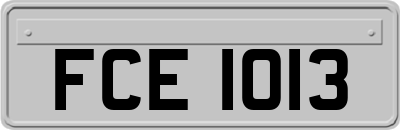 FCE1013