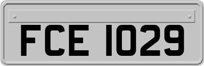FCE1029
