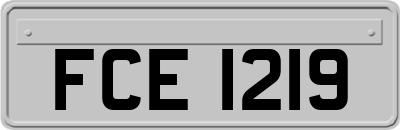 FCE1219