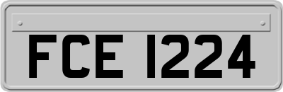 FCE1224