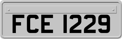 FCE1229