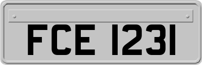 FCE1231