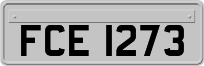FCE1273