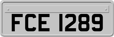 FCE1289