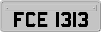 FCE1313