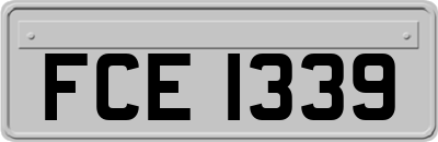 FCE1339