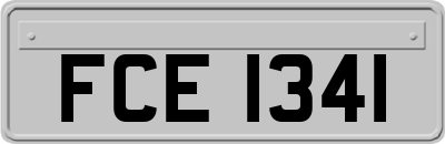 FCE1341