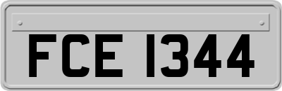 FCE1344