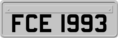 FCE1993
